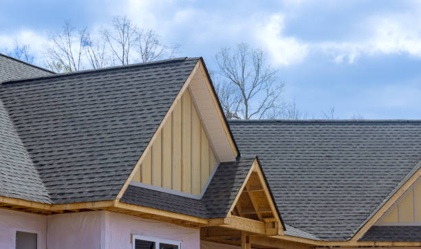 Best Asphalt Shingle Roofing  in Lorain, OH