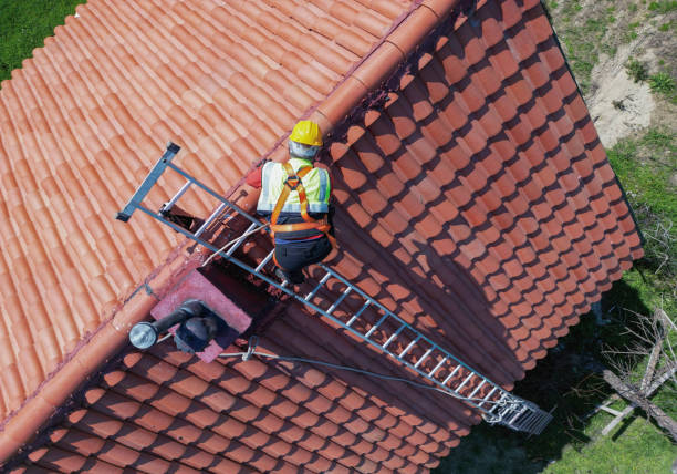 Best Emergency Roof Repair Services  in Lorain, OH